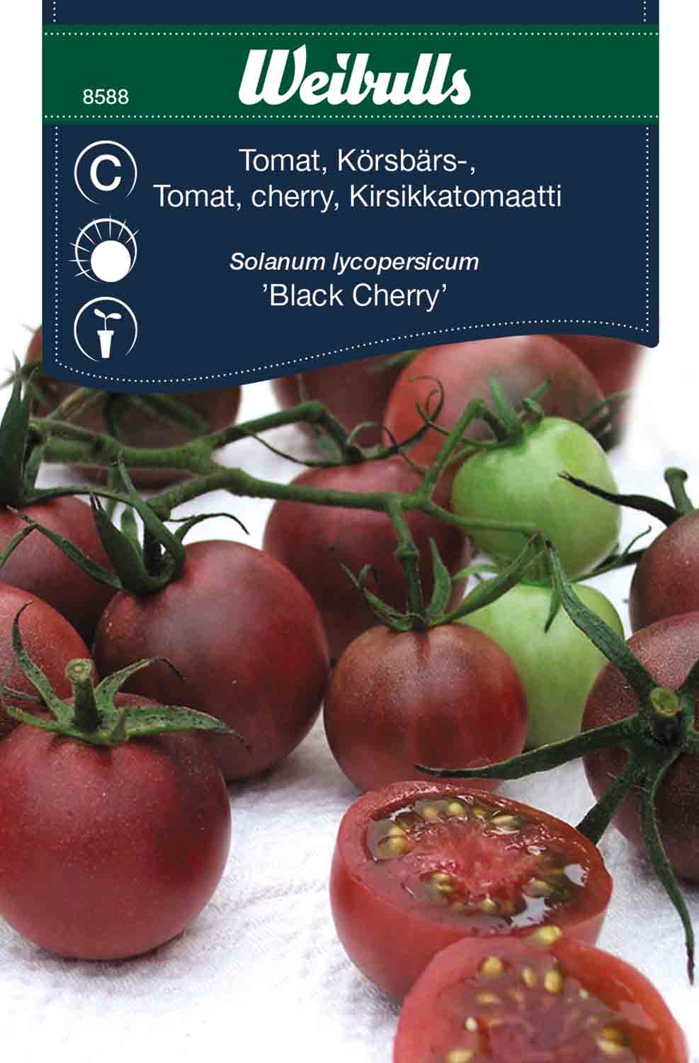 Weibulls Tomat, körsbärs- 'Black Cherry'