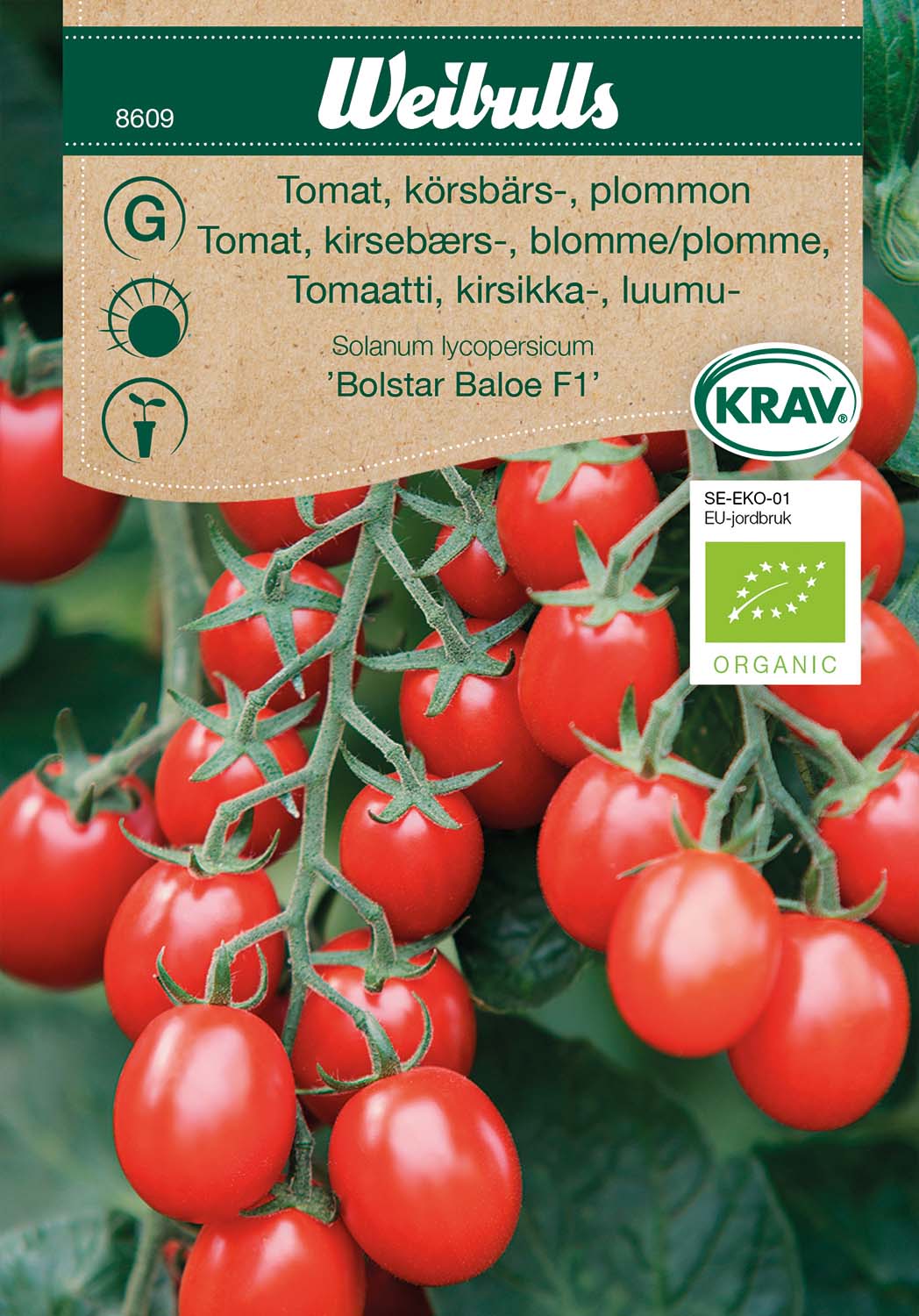 Weibulls Tomat, körsbärs-, plommon KRAV 'Bolstar Baloe' F1