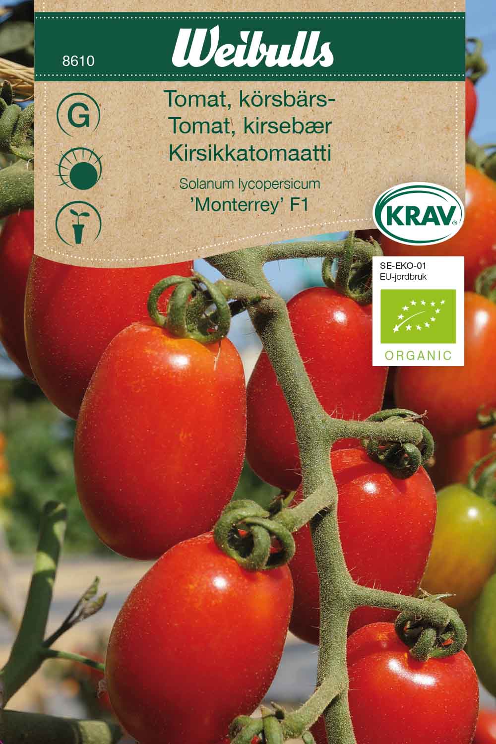 Weibulls Tomat, körsbärs- KRAV 'Monterrey' F1
