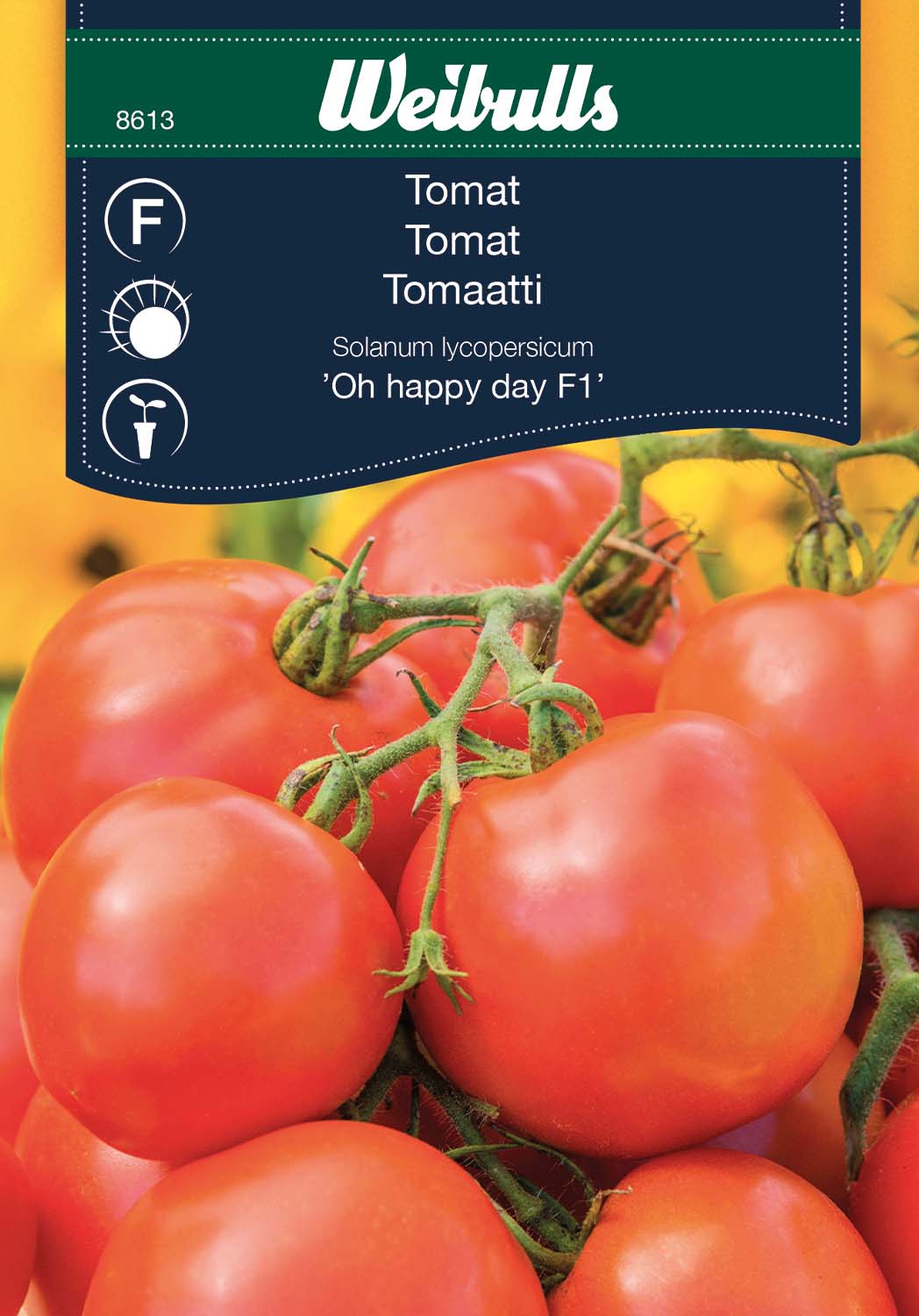 Weibulls Tomat 'Oh happy day' F1