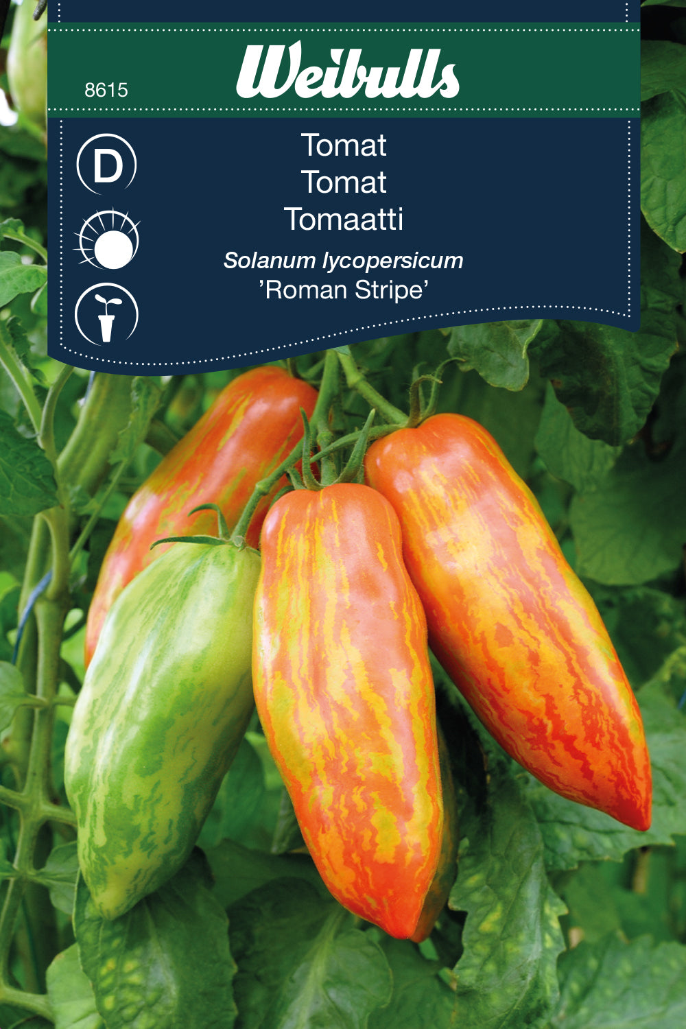 Weibulls Tomat 'Roman Striped'