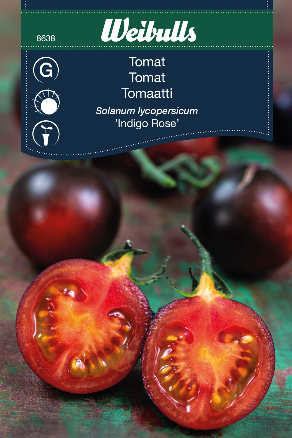 Weibulls Tomat 'Indigo Rose'